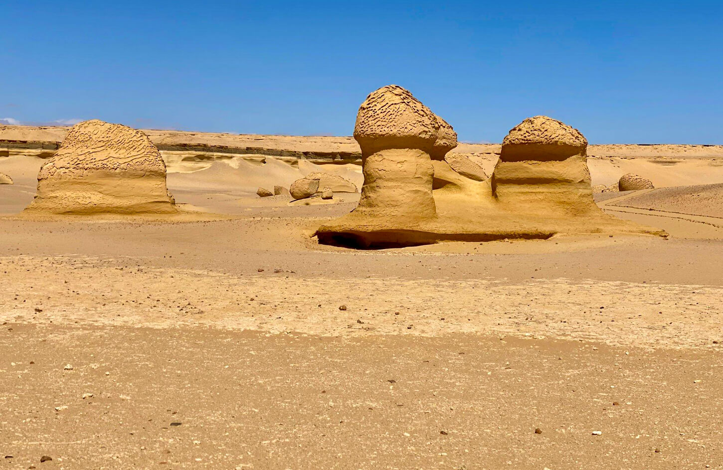 A-snapshot-of-some-of-the-sand-dunes-of-Wadi-Hitan