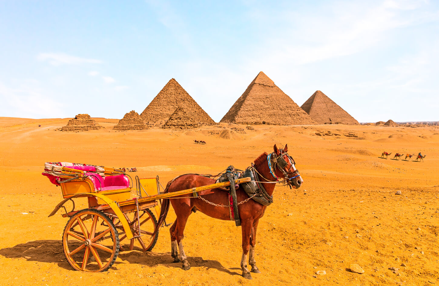 Kart-in-front-of-the-pyramids
