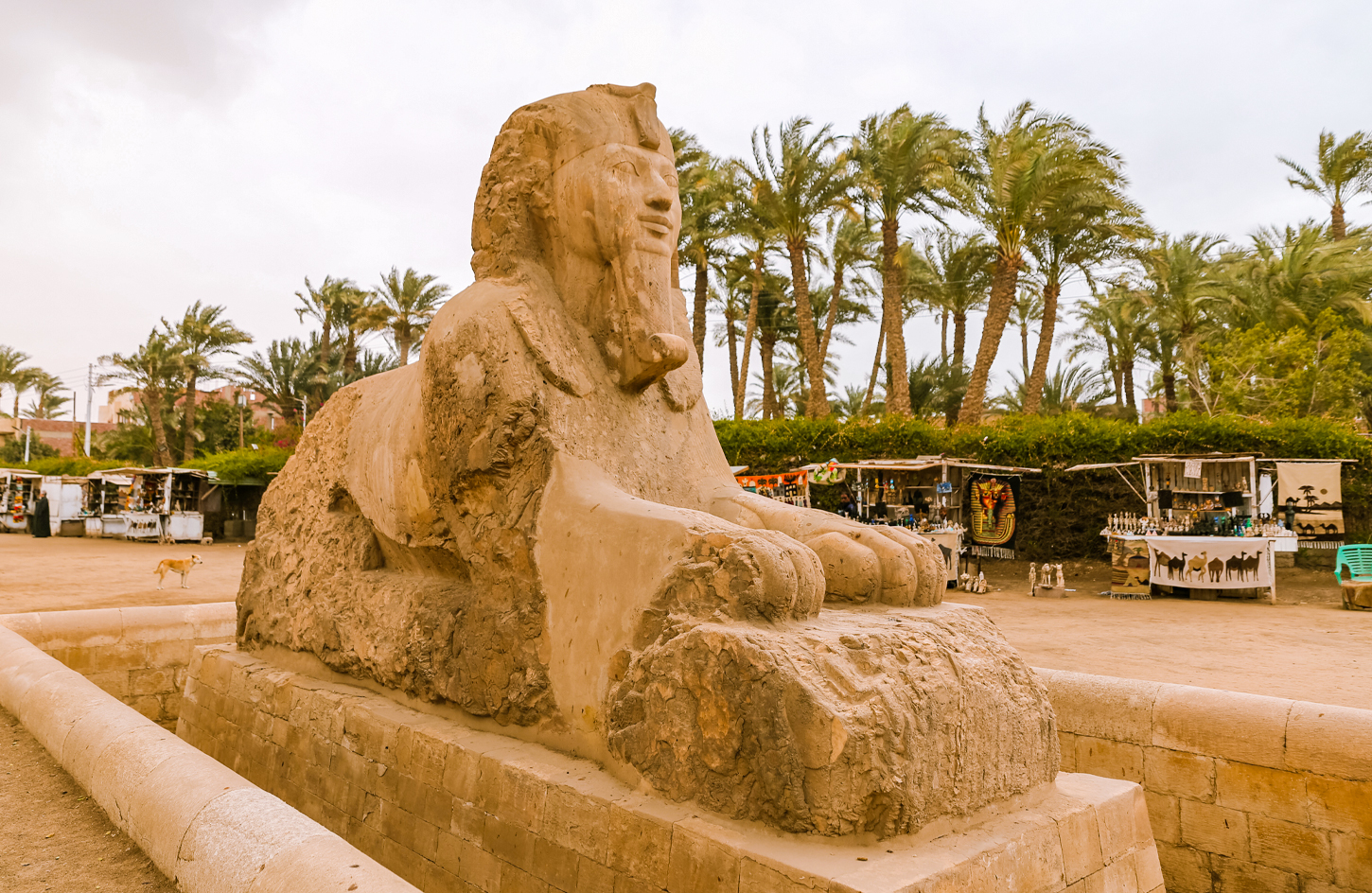 One-of-the-Great-Sphinx-statues-from-the-city-of-Memphis