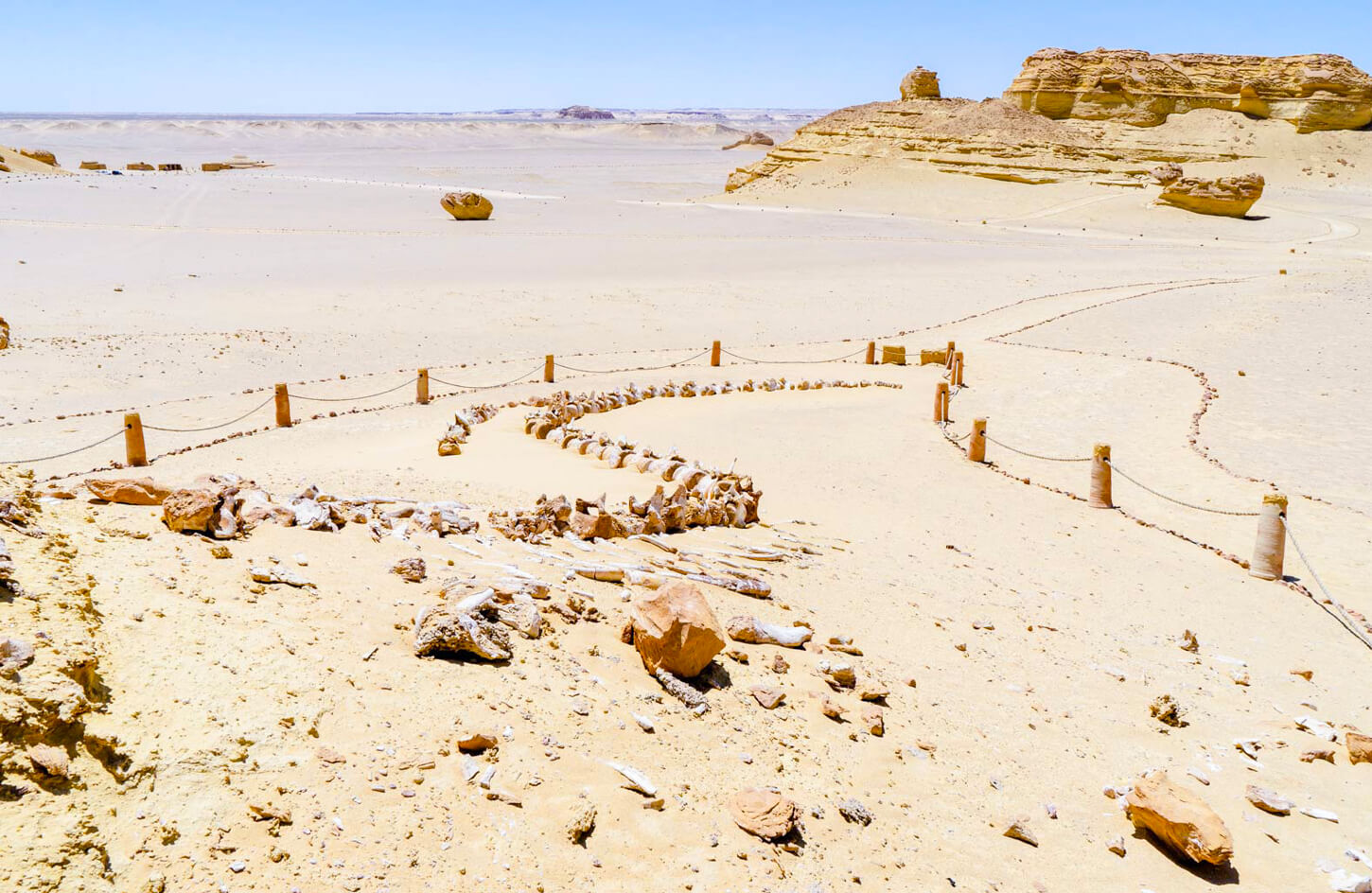 Whale-Valley-egypt
